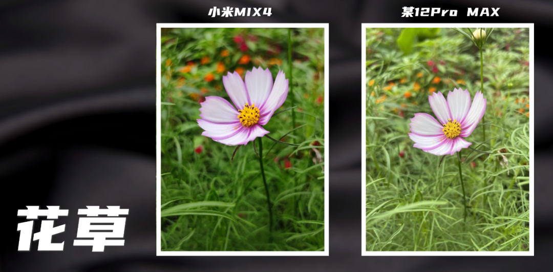 5年没白等 小米MIX 4详细测评体验丨科技美学